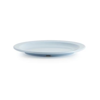 Melamine Dinner Plate, 10", Round, Blue