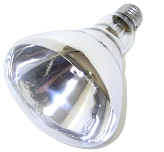 Clear bulb for heat lamp, 250W