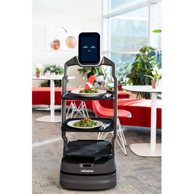 Delivery Service Robot